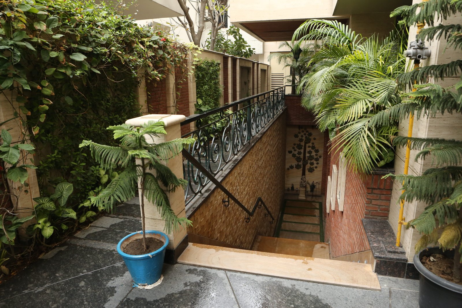 GFG_3672